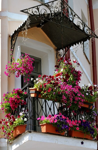 Здесь маленький Париж