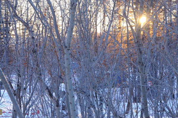 Зимний день недолог на часах