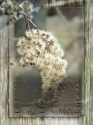 Conrad Potter Aiken. All lovely things.. Перевод