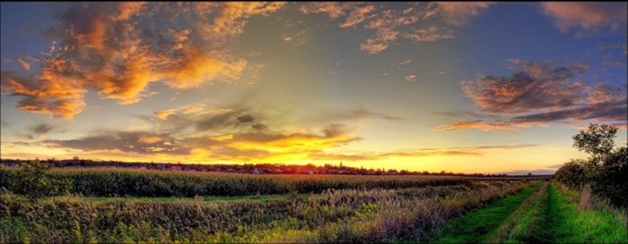 На жизненном просторе...