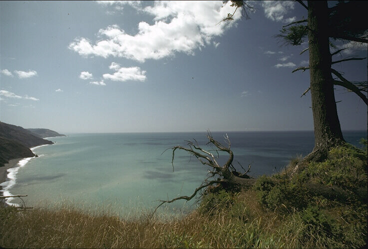 У моря. 10. 03. 2008