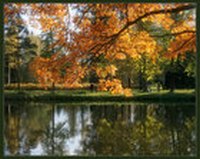 О, как нужны нам в жизни изменения...