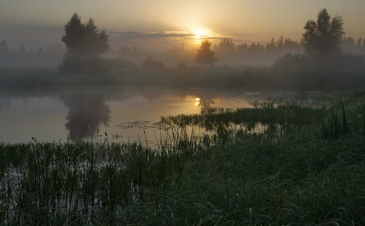 Средь суеты греховной, городской