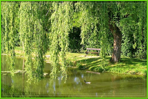 Родимый край