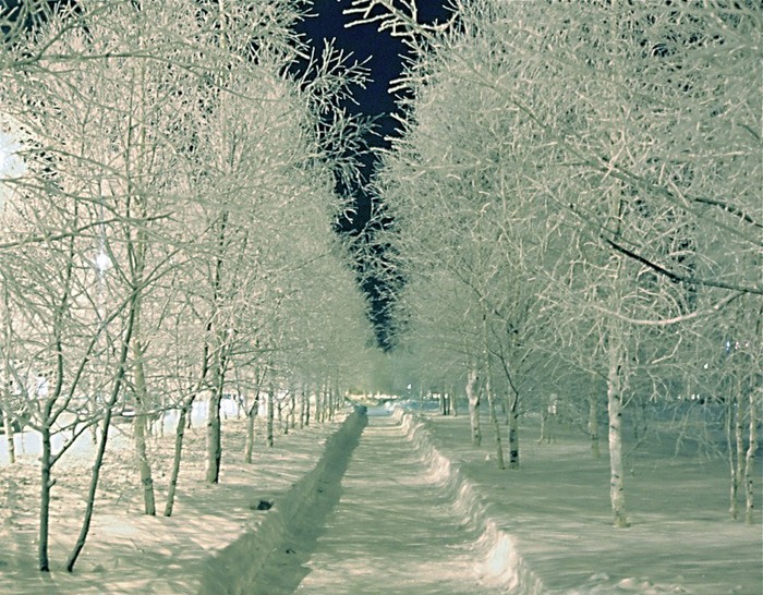 Просто снег