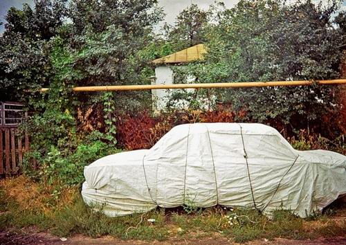 Недавно бегала она свободно...