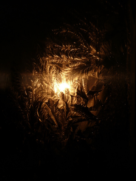 И радугой становится зима...