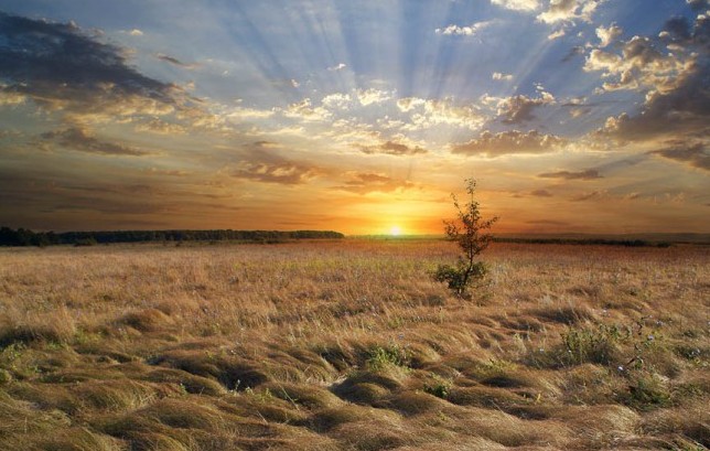 Глухомань ты моя степная...