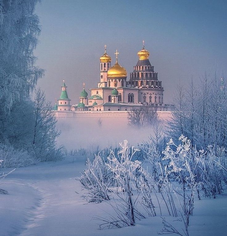 Весь год на грани трудного терпенья