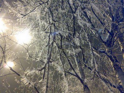 Алое сердце