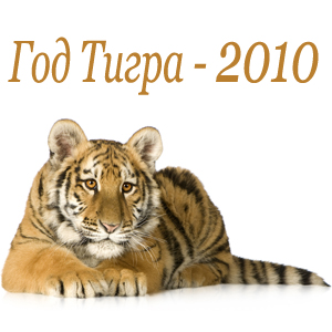 Новый 2010 год
