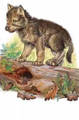 Воспитание волков