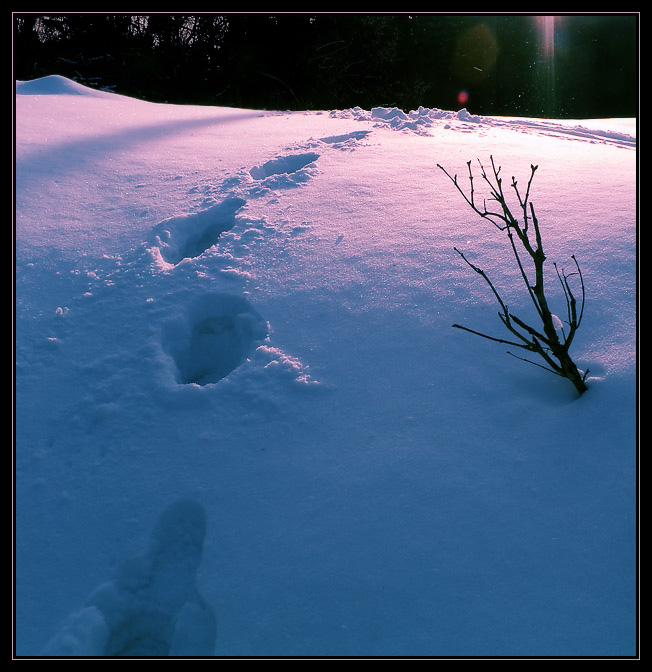 Снег мп 3. Шаги по снегу. Шаги по снегу картинки. Звук шагов по снегу. Видео для сториз шаги по снегу.