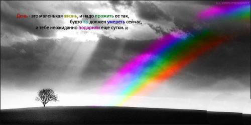 я в новый год...