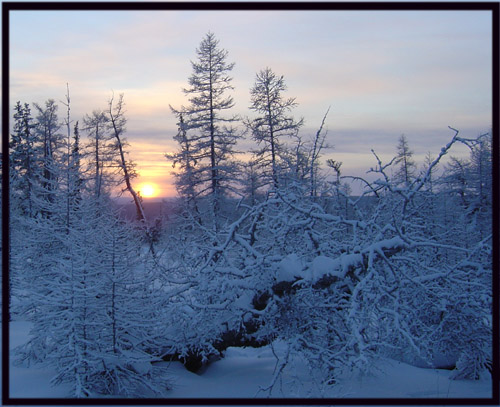 Дорожная зарисовка