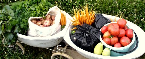 Коляска с прицепом