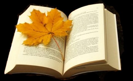 Поэт, как жизненный знаток...