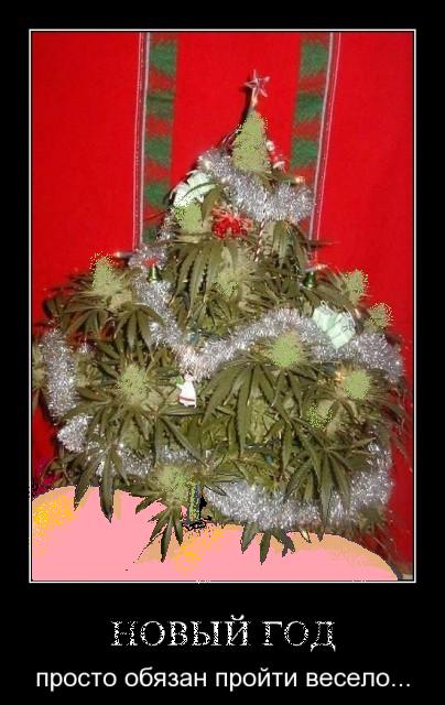 ОДИН РАЗ - НЕ ПИ... не пионер?.. тинейджерское