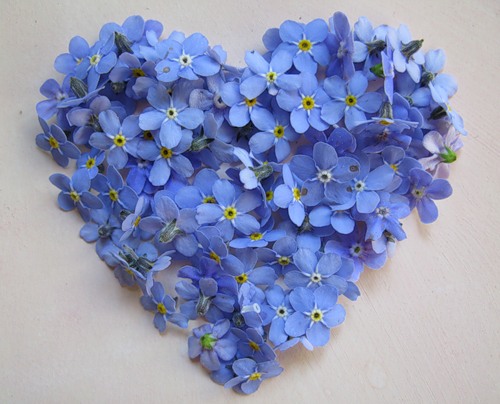 В свете дивной улыбки твоей я согреюсь!