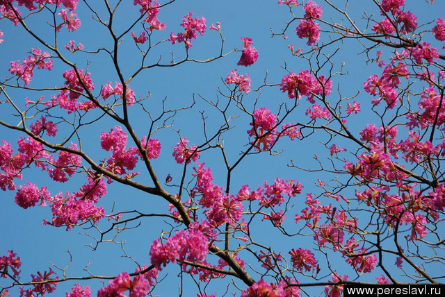 Выпускной 2004 года
