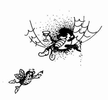 Любовь и паутина