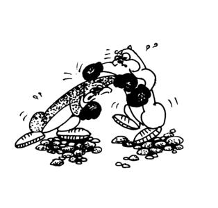 Открытие века