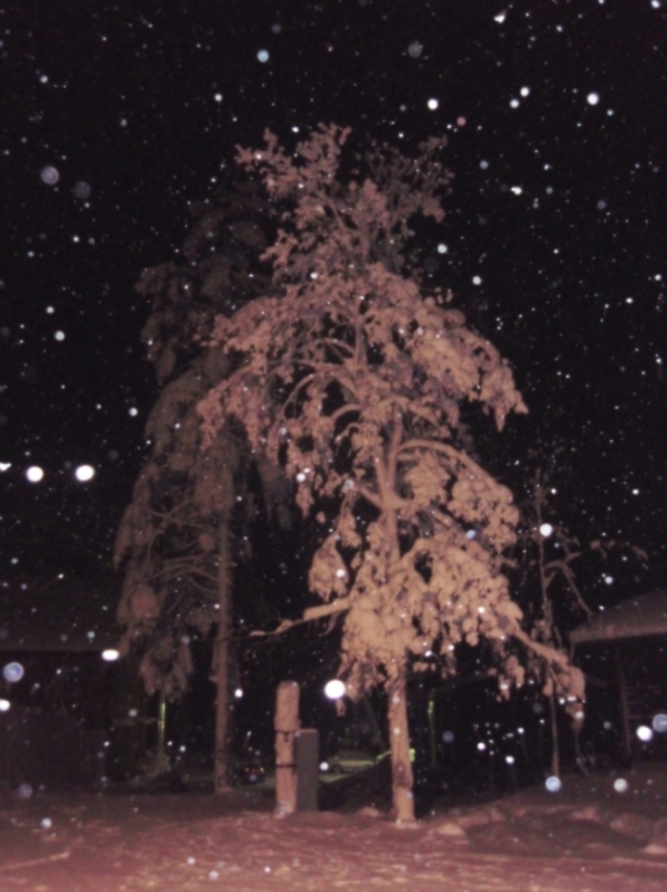 Чёрно-белым молчанием...