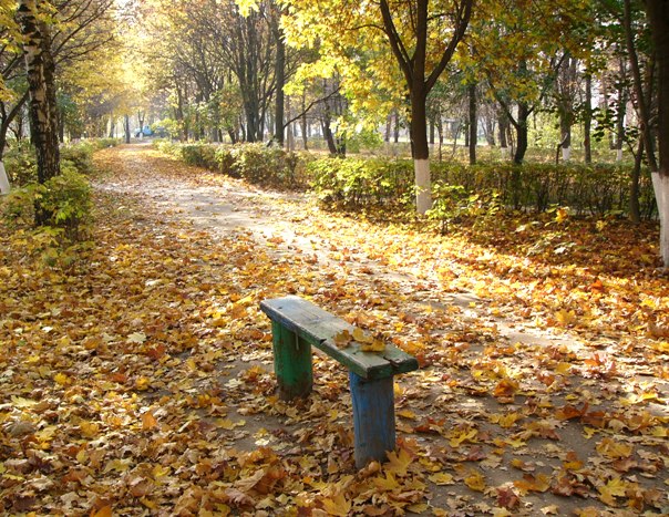 Воспоминания