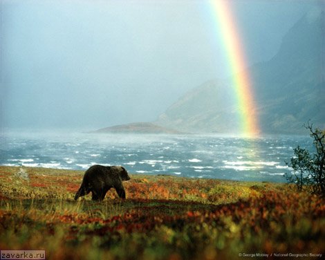 Весенняя дрожь