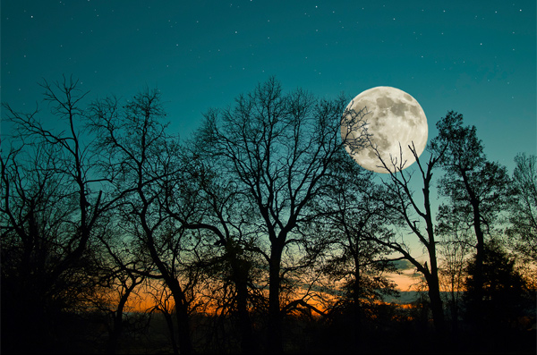 Сказка в лунную ночь...