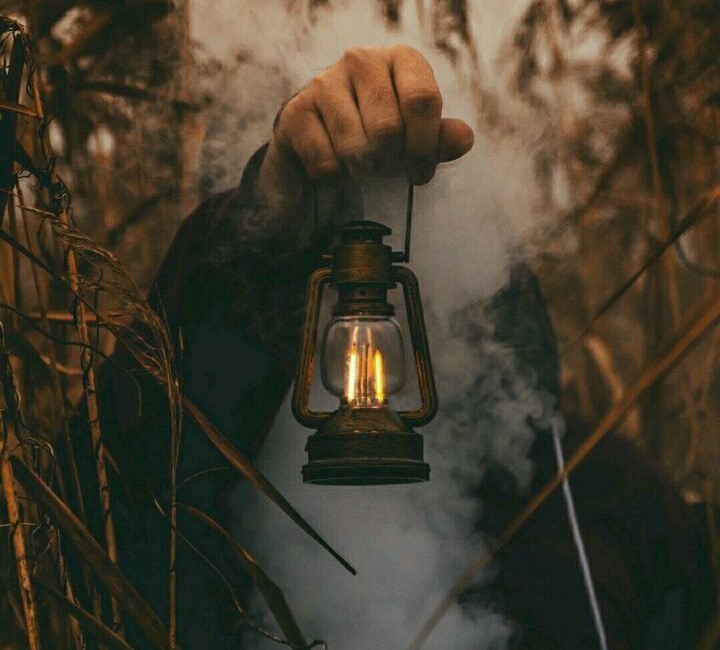 Даром пророчества не обладаю