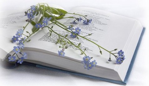 Жизненно я смысла не ищу...