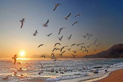 Жизнь, подобием схожим на сказочный блик...