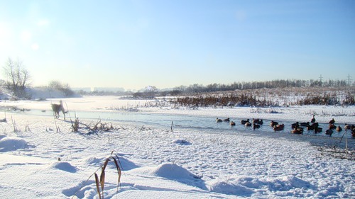 Наваждение...