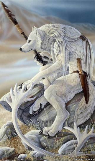 Моя волчья жизнь два автора