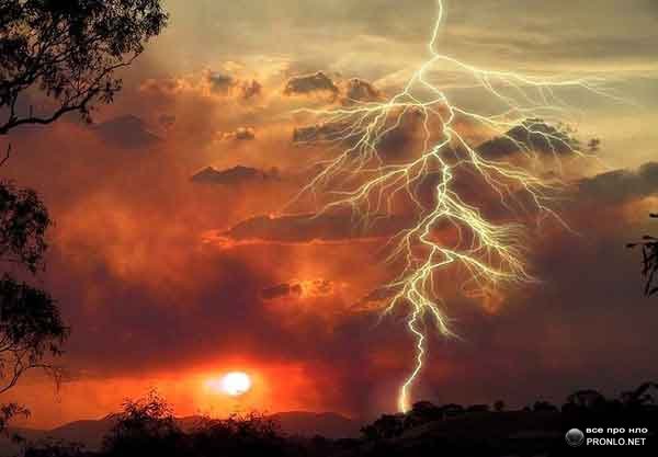 я пью молодое вино