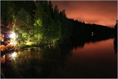 Ночь в лесу