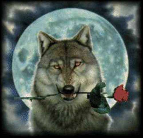 Я не имею права