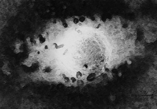 Ненужные знания