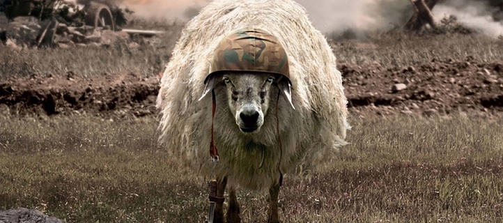 Не наша война