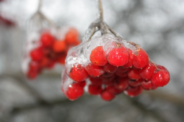 Ты можешь не звонить...