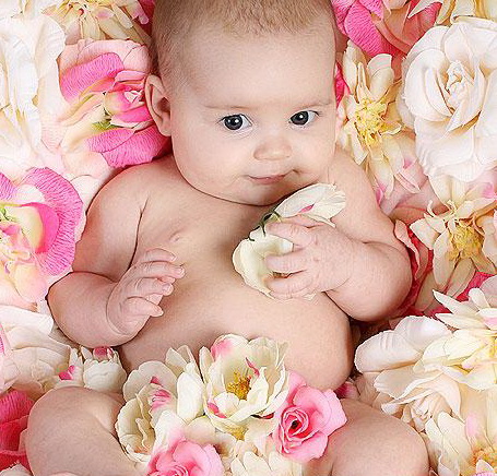 Рождение новой жизни. Рассказ малышки