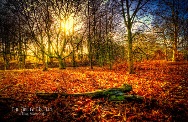 Золото осени