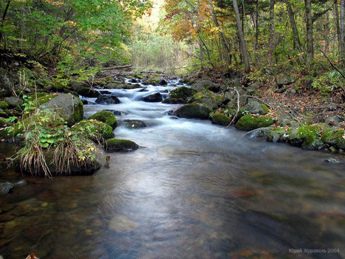 Я романтик в душе