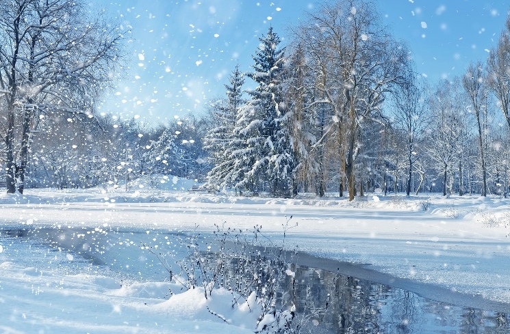 Зима с небес роняла жемчуга...