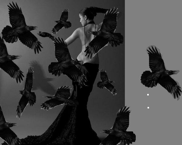 вороны кружат. кружат вороны надо мной. вороны в небе. стая воронов. птица души.