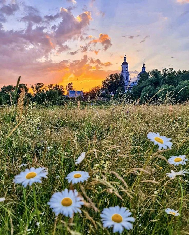 Для чего рождён был на земле?