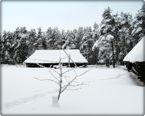 Стоит деревенька у краешка леса
