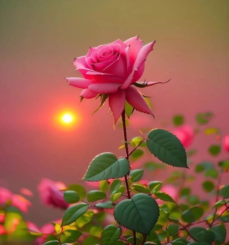 Сказочность мгновенья