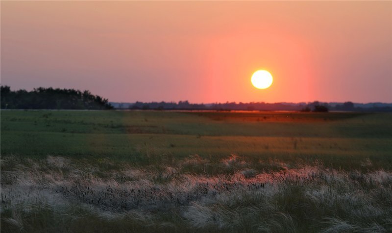 Где лучше во степи или в горах?